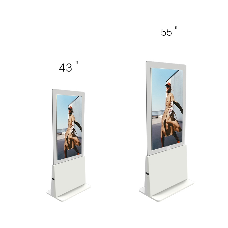 43-inch and 55-inch Transparent digital kiosk size comparison