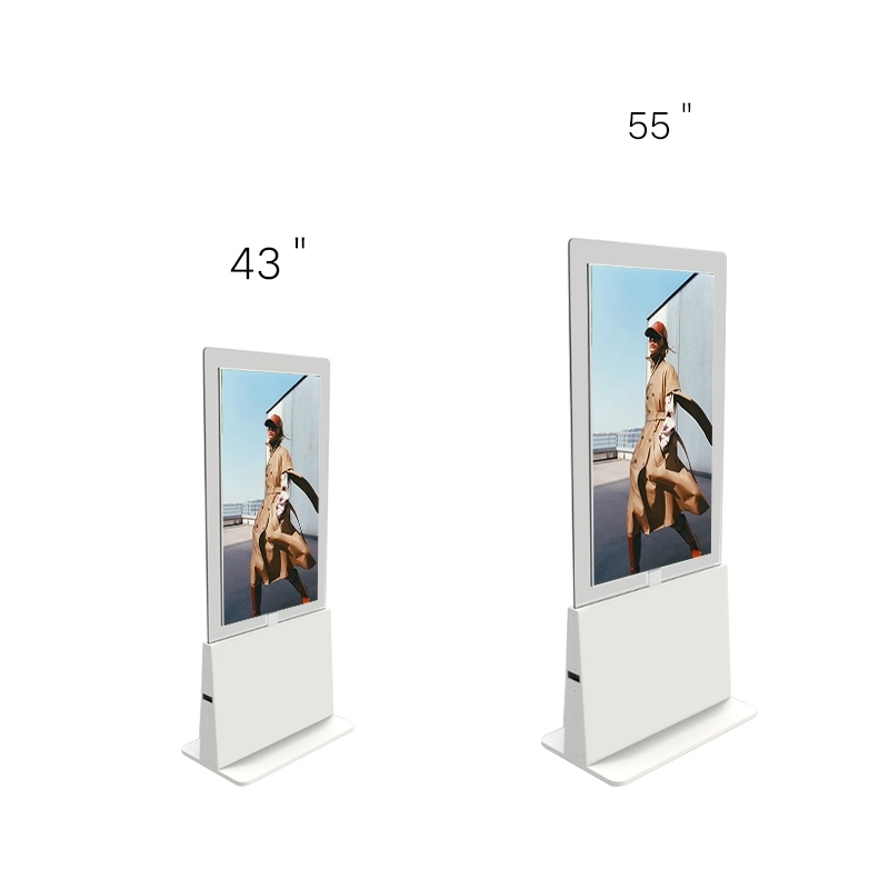 43-inch and 55-inch Transparent digital kiosk size comparison